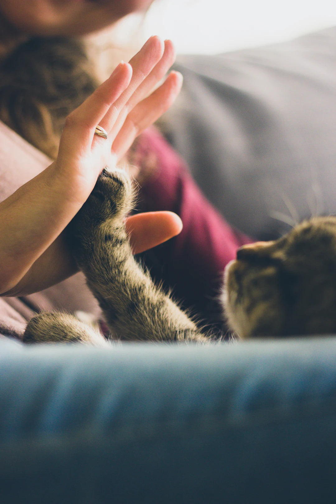 Unlocking the Secrets of Pet Behavior and Communication