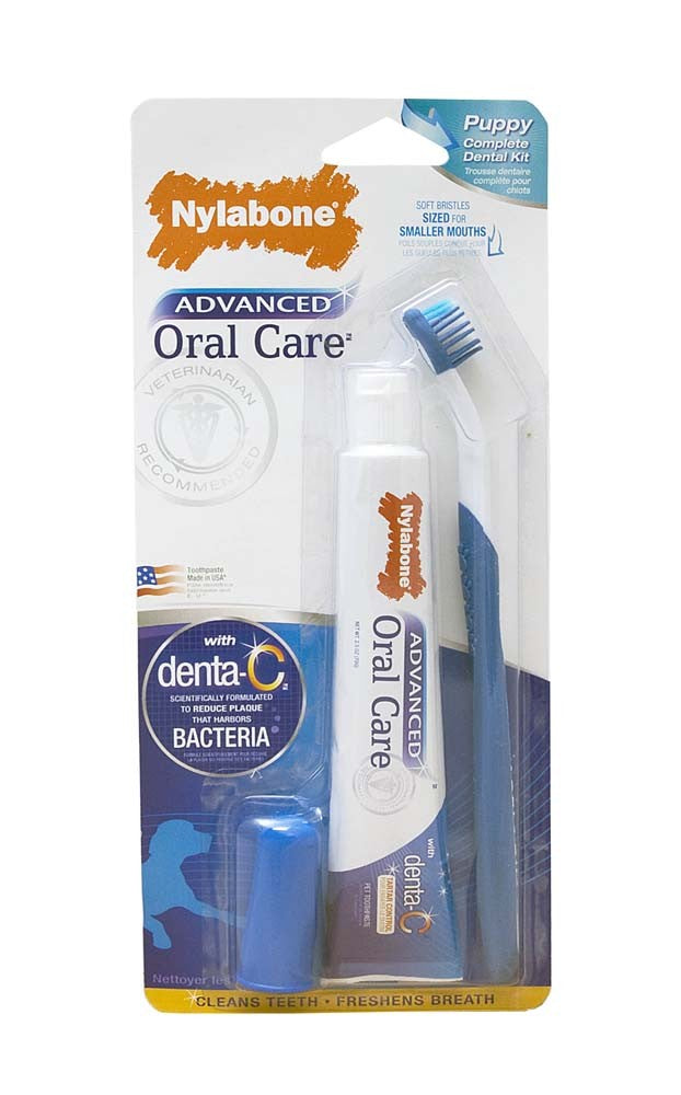 Nylabone Advanced Oral Care Puppy Dental Kit Original 1ea