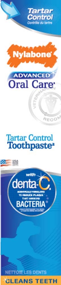 Nylabone Advanced Oral Care Tartar Control Dog Toothpaste Original 1ea/2.5 oz