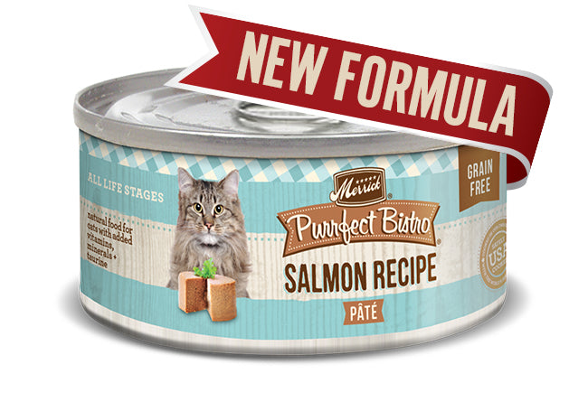 Merrick Cat Purrfect Bistro Salmon Pate 3oz. (Case of 24)