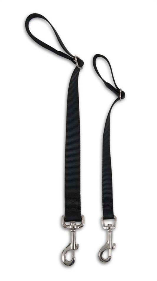 Petmate Seat Belt Loop Tether Black 1ea/MD