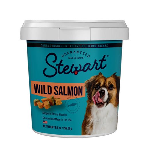 Stewart Single Ingredient Freeze Dried Dog Treats Salmon, 1ea/9.5oz.