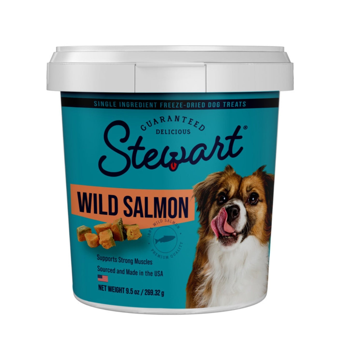 Stewart Single Ingredient Freeze Dried Dog Treats Salmon, 1ea/9.5oz.