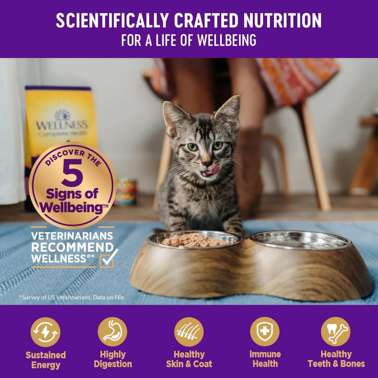 Wellness Cat Complete Health Minced Turkey Salmon Entrée 5.5oz. (Case of 24)