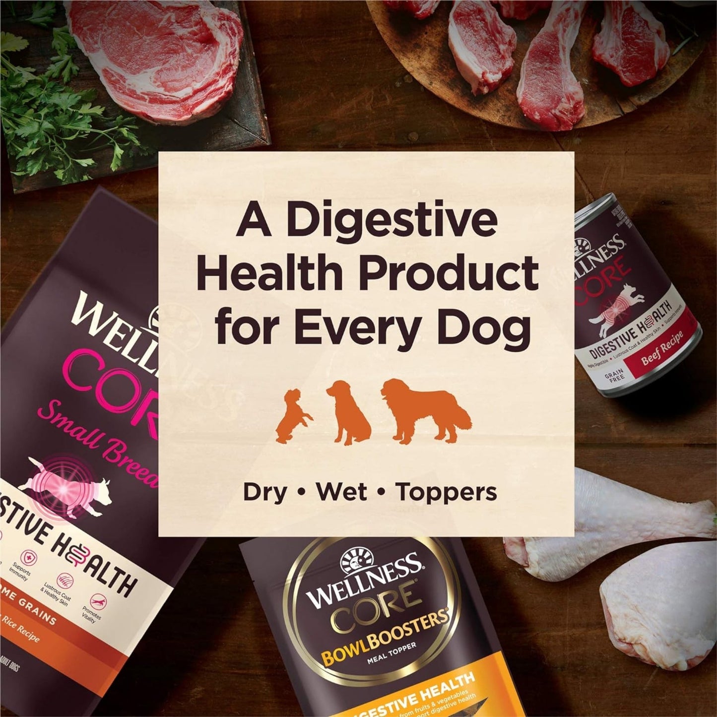 Wellness Dog Core Digestive Health Whitefish Recipe 22Lb