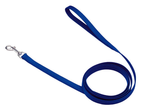 Coastal Single-Ply Nylon Dog Leash Blue 1ea/5/8 In X 6 ft