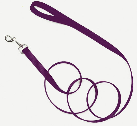 Coastal Single-Ply Nylon Dog Leash Purple 1ea/5/8 In X 6 ft