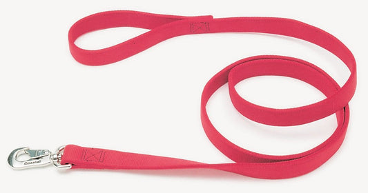 Coastal Double-Ply Nylon Dog Leash Red 1ea/1 In X 6 ft