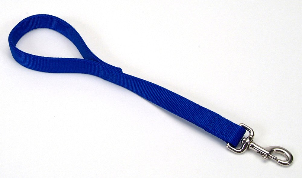 Coastal Double-Ply Nylon Traffic Dog Leash Blue 1ea/1 In X 24 in