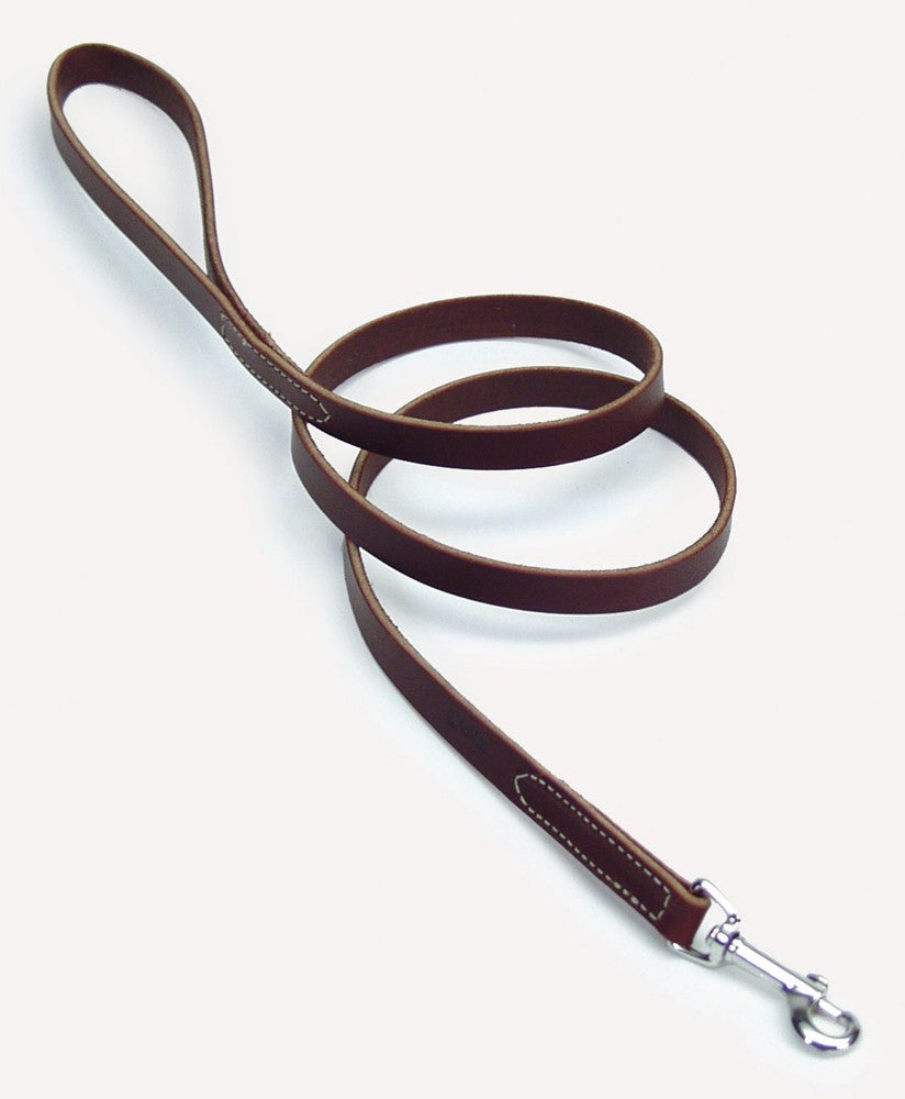 Circle T Latigo Leather Dog Leash Brown 1ea/3/4 In X 6 ft