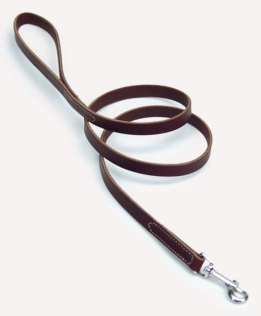 Circle T Latigo Leather Dog Leash Brown 1ea/1 In X 6 ft