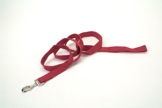 New Earth Soy Dog Leash Cranberry 1ea/5/8 In X 6 ft