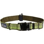 Coastal K9 Explorer 1 Inch Adj Collar Fern Green (18-26 Inch)