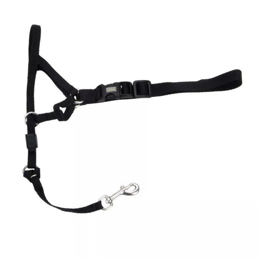 Walk 'n Train Dog Head Halter Black 1ea/LG