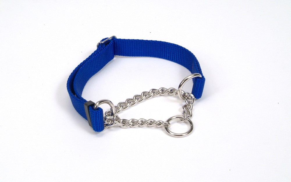 Check-Choke Adjustable Check Training Dog Collar Blue 1ea/3/4 In X 14-20 in