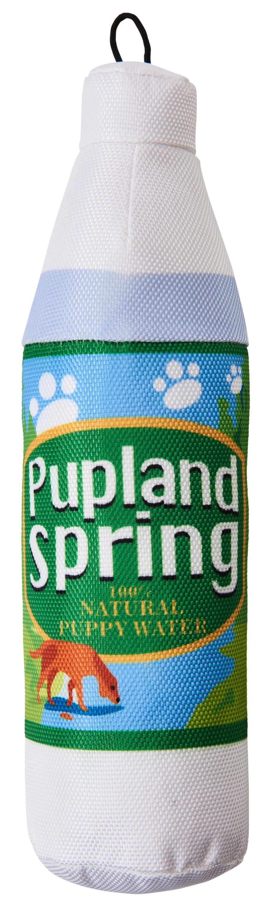 Spot Fun Drink Pupland Springs Dog Toy Green 1ea/11 in