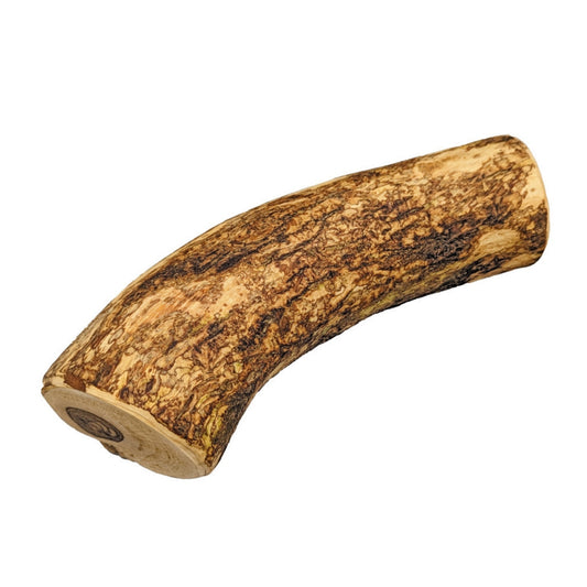 Spot Olive Wood Dog Chew 1ea/XL