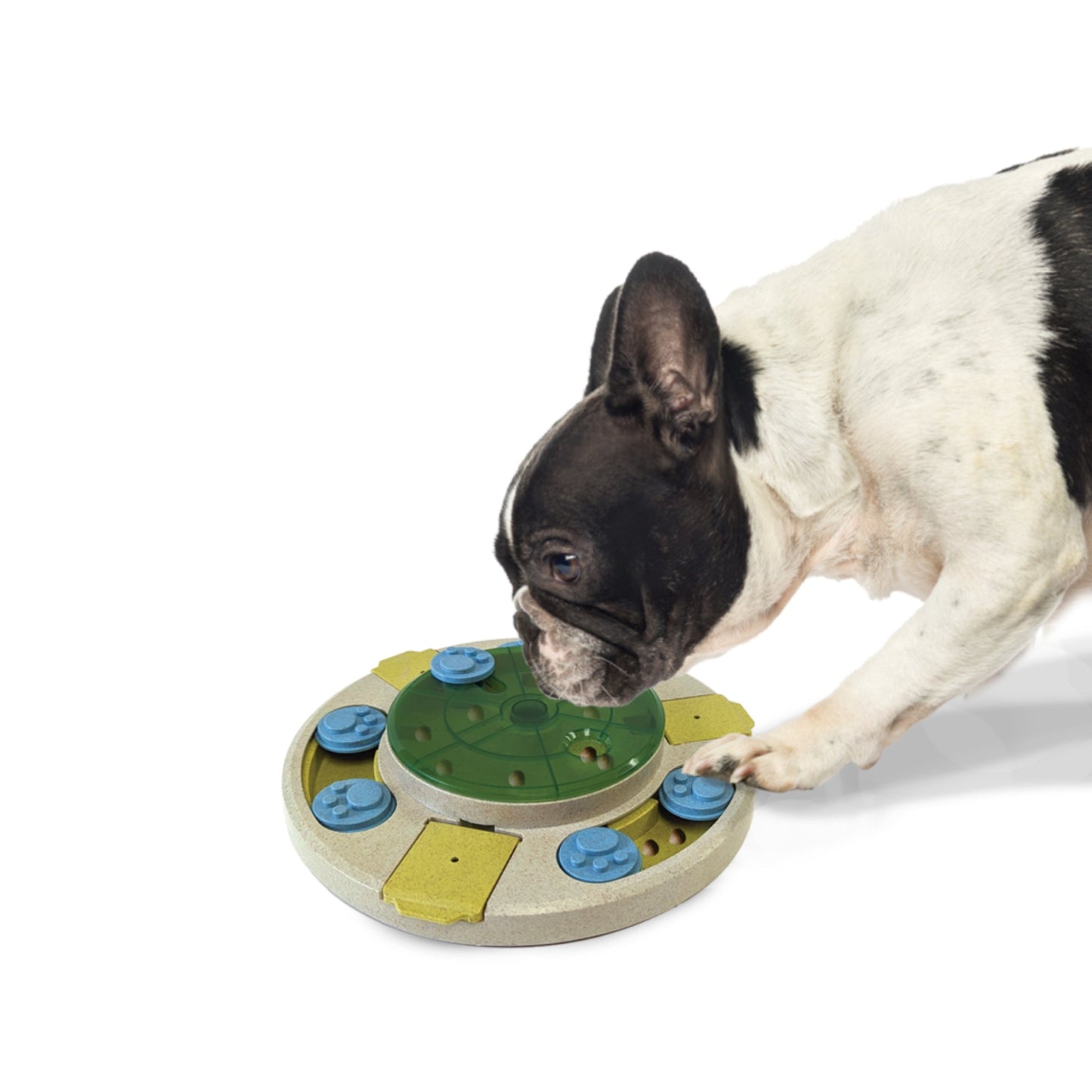 Ethical Pet Seek-a-Treat Spinner Puzzle