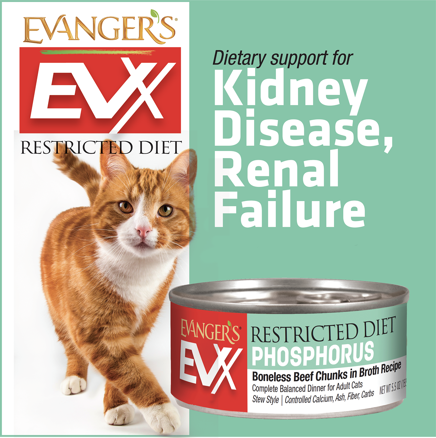 Evanger's EVx Restricted Diet Low Phosphorus Wet Cat Food Boneless Beef Chunks in Broth 24ea/5.5 oz, 24 pk