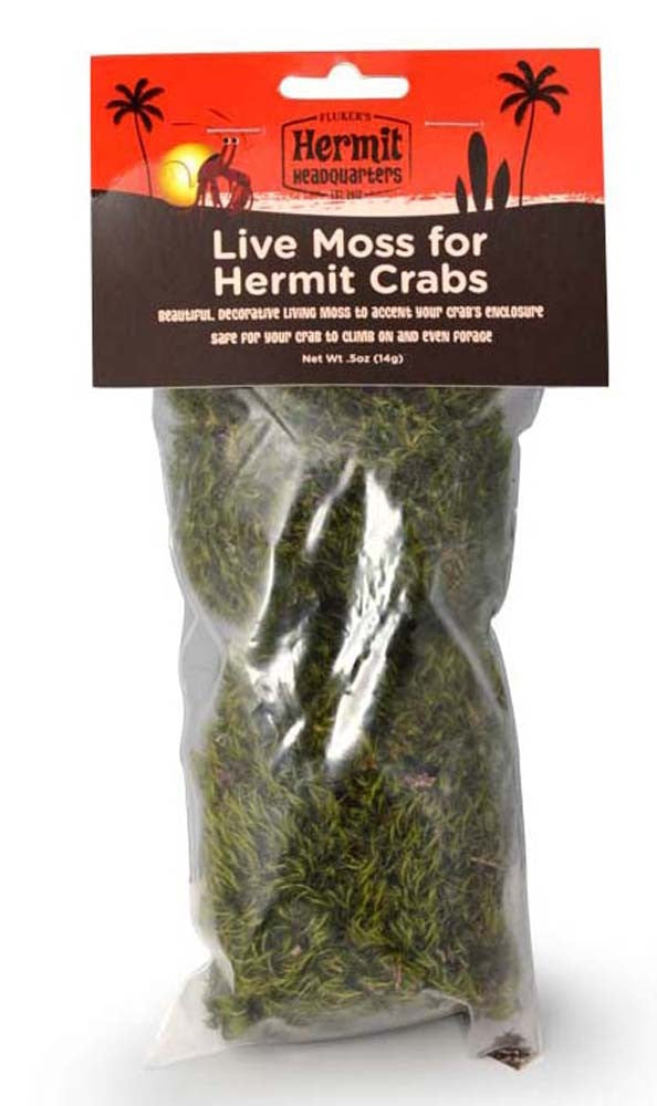 Fluker's Hermit Crab Live Moss Green 1ea/0.5 oz