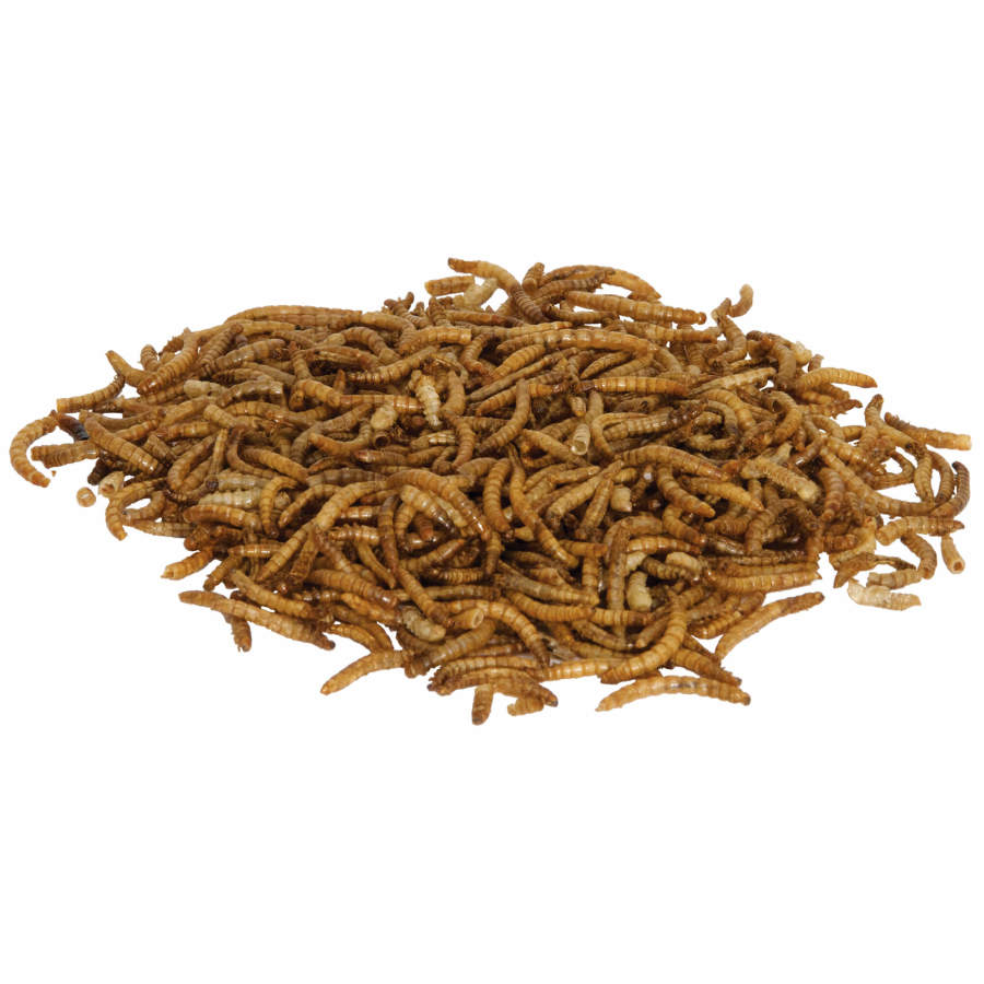 Zilla Reptile Munchies Mealworm 1ea/.5 oz