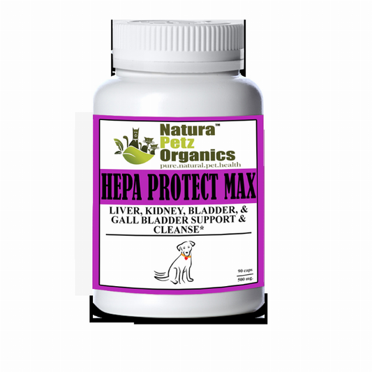 Hepa Protect Max Capsules - Liver, Kidney, Bladder & Gall Bladder Support & Cleanse*