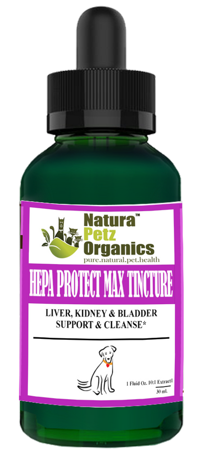 Hepa Protect Max Tincture* Master Blend Liver Kidney & Bladder Support & Cleanse 10:1 Extract*