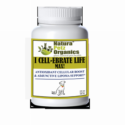 I Cellebrate Life Max - Antioxidant Cellular Boost + Adjunctive Lipoma Support*