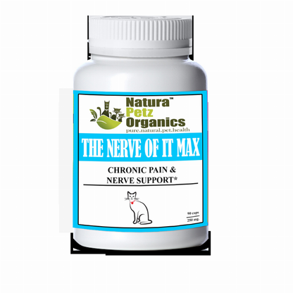 Hepa Protect Max Tincture* Master Blend Liver Kidney & Bladder Support & Cleanse 10:1 Extract*