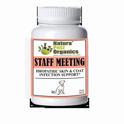 Staff Meeting* Idiopathic Skin & Coat Infection* Support For Dogs And Cats*