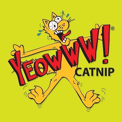 Yeowww! Catnip Bag 1ea/1 oz