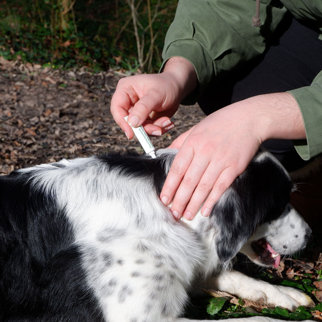 Alzoo Plant-Based Flea & Tick Squeeze-On Dog