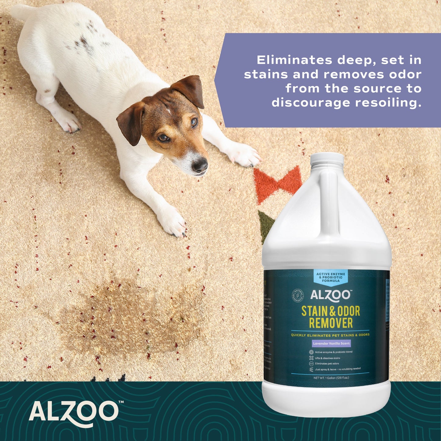 Alzoo Stain & Odor Remover Lavender Vanilla 1gal.