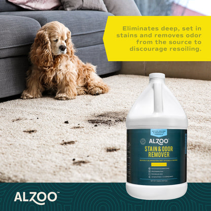 Alzoo Stain & Odor Remover Citrus Vanilla 1gal.