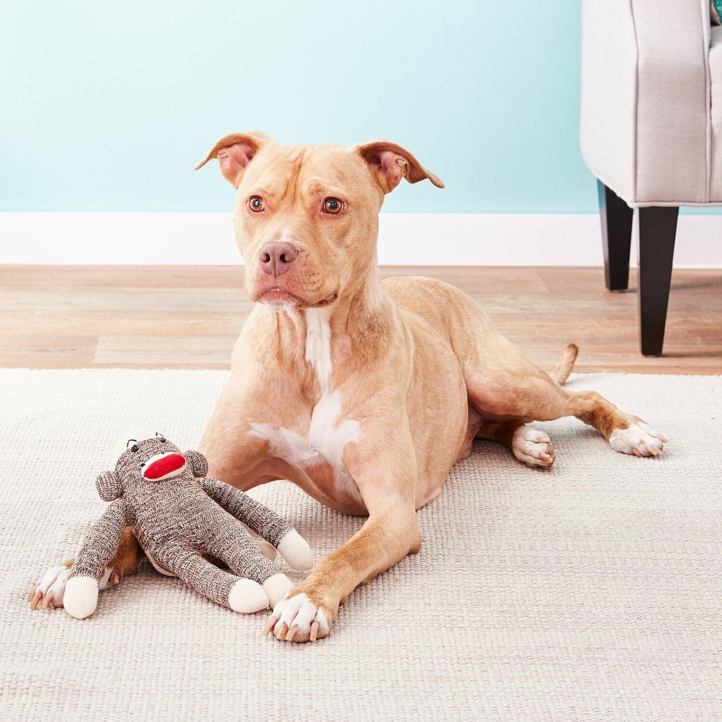 Multipet Sock Monkey 10 Inch