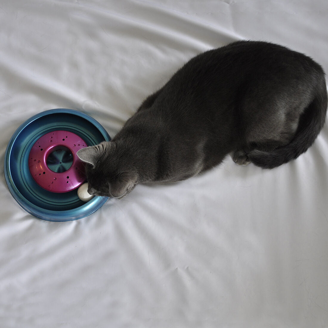 Coastal Products Turbo Catnip Cyclone Cat Toy