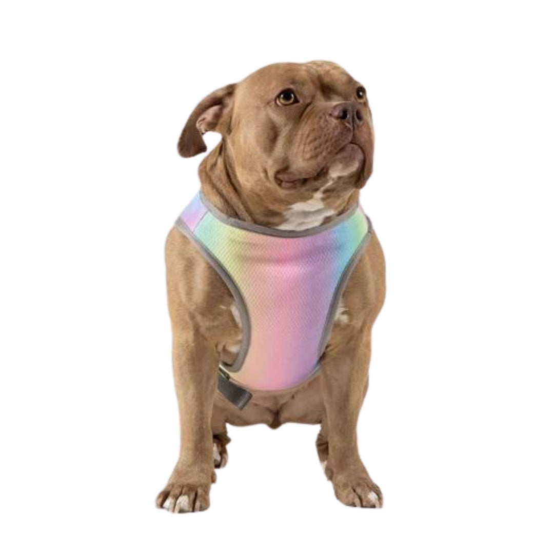 Canada Pooch Dog Cooling Vest Rainbow 8