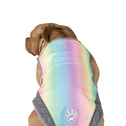 Canada Pooch Dog Cooling Vest Rainbow 8