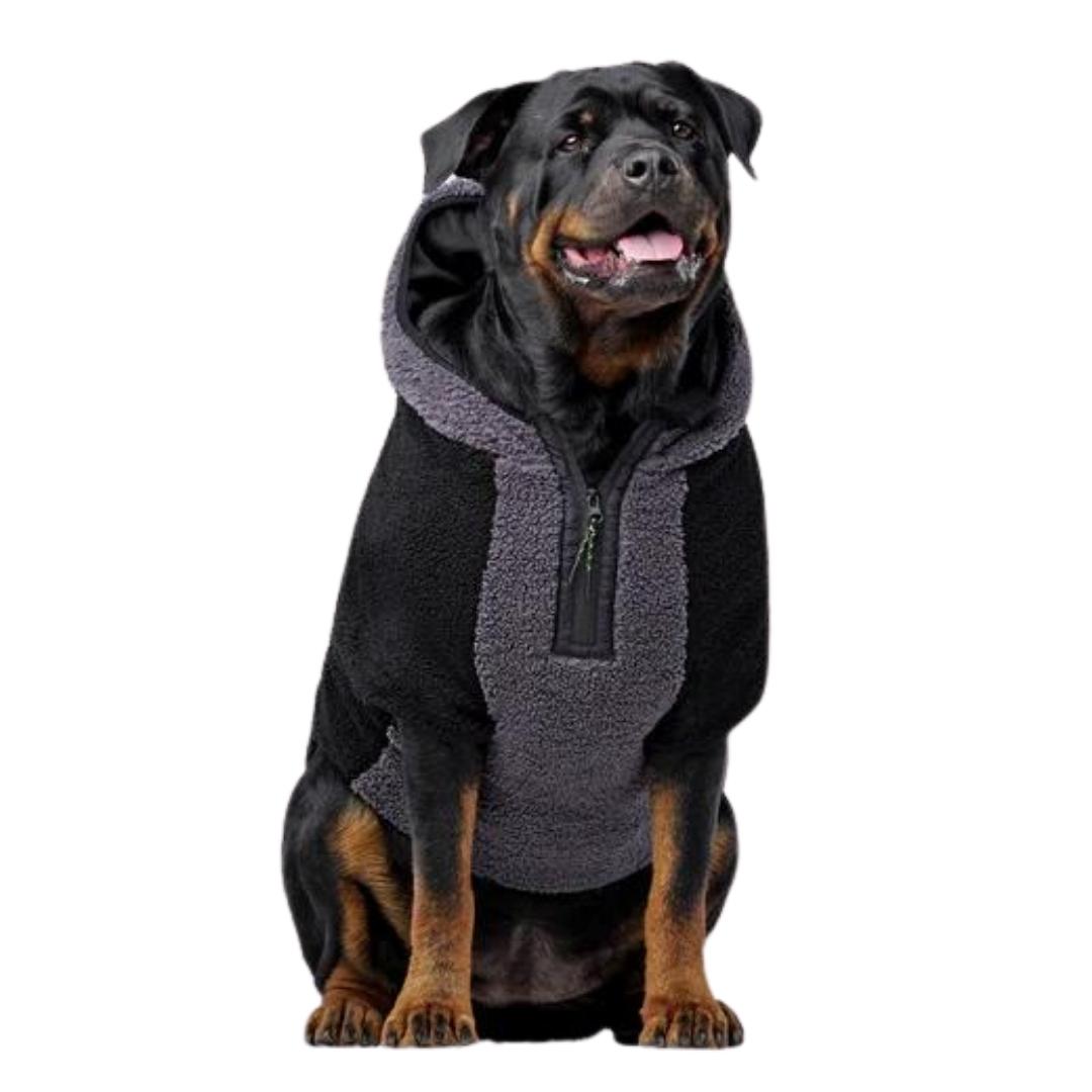 Canada Pooch Dog Cool Factor Hoodie Black 20