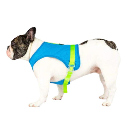 Canada Pooch Dog Cooling Harness Blue 10