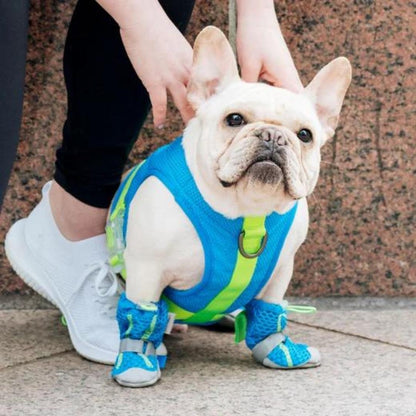 Canada Pooch Dog Cooling Harness Blue 10