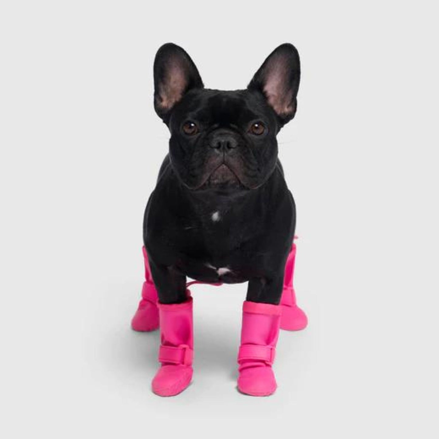 Canada Pooch Dog Torrential Tracker Waterproof Rain Boots Pink 1