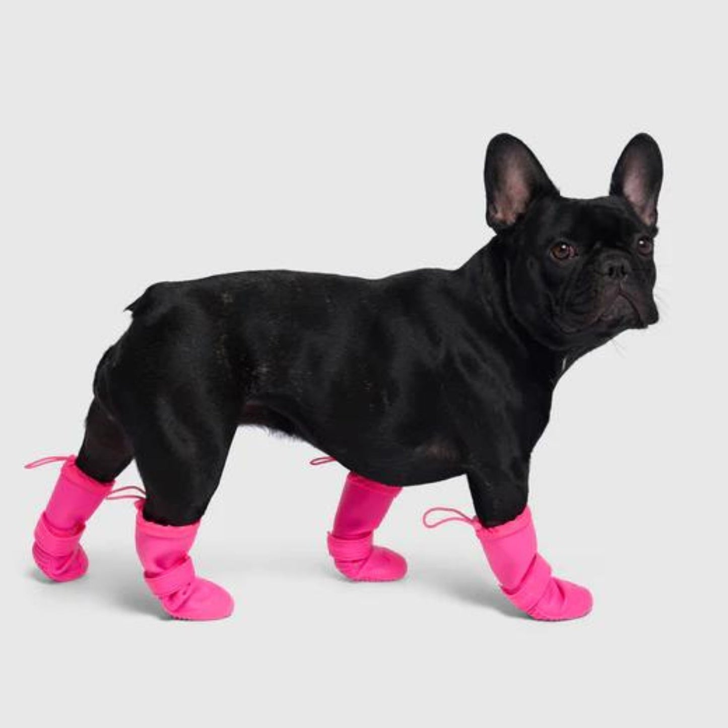 Canada Pooch Dog Torrential Tracker Waterproof Rain Boots Pink 1