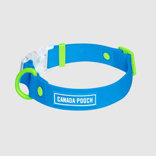 Canada Pooch Dog Waterproof Collar Blue Medium