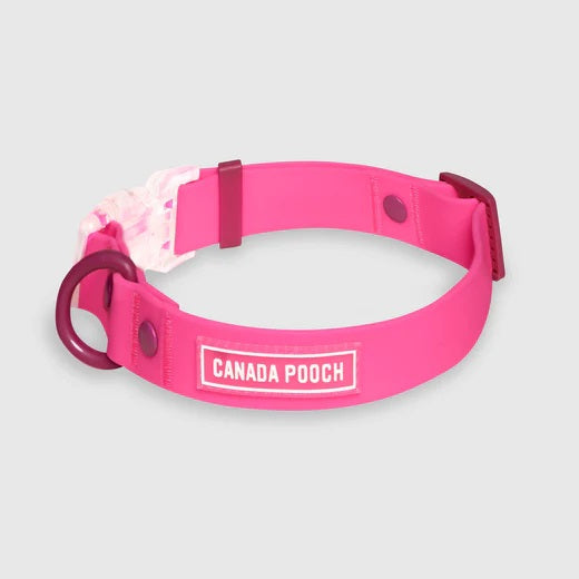 Canada Pooch Dog Waterproof Collar Pink Small