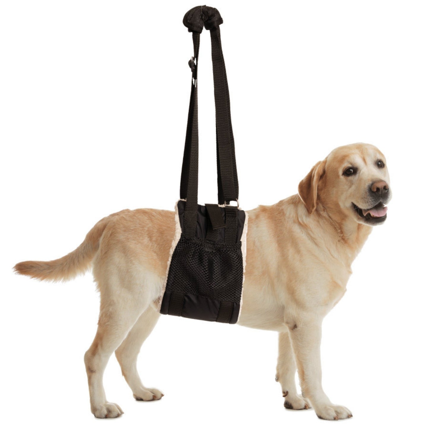 ZenPet Buddy Lift Canine Support and Rehabilitation Sling 1ea/MD/LG