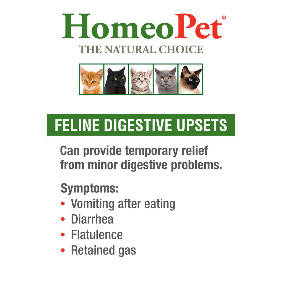 HomeoPet Feline Digestive Upsets Cat Drops 1ea/15 ml