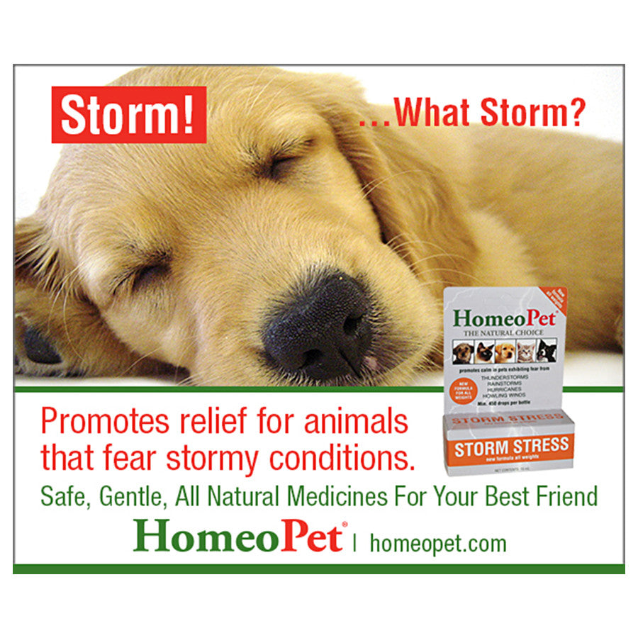 HomeoPet Storm Stress 1ea/15 ml