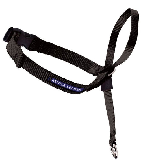 PetSafe Headcollar No-Pull Dog Collar Black 1ea/SM