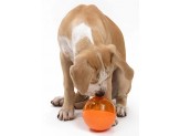 OurPets IQ Treat Ball Slow Feed Dog Toy Assorted 1ea/LG, 4 in